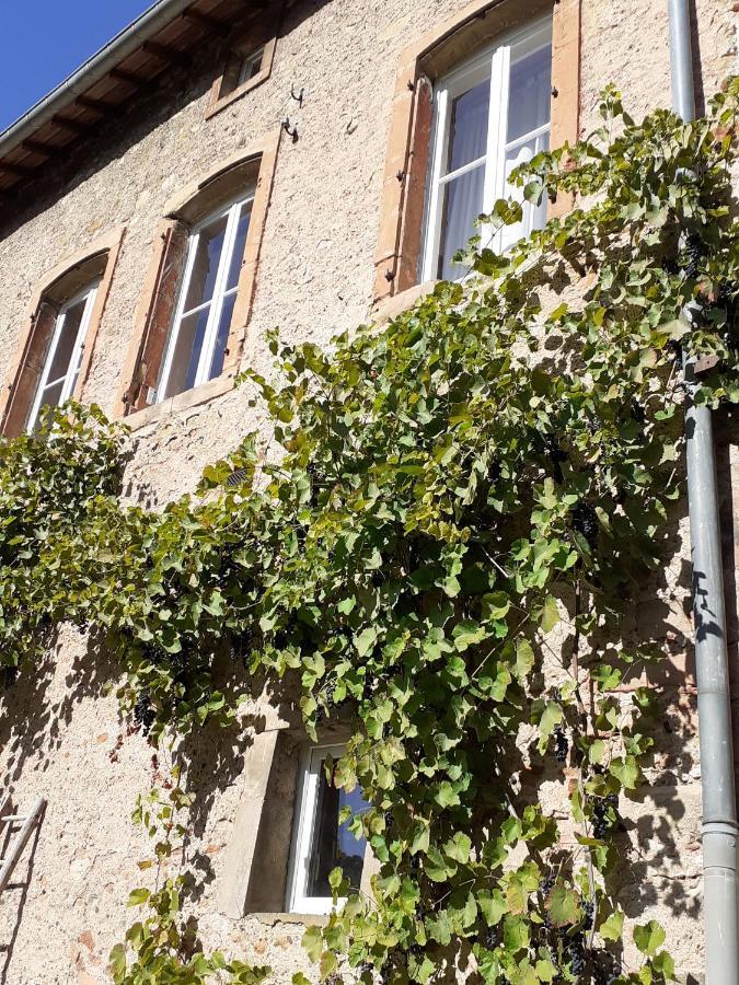 Apartamento La Grange Aux Oiseaux Arnaville Exterior foto